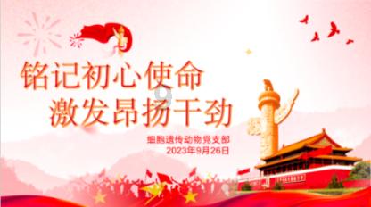 曝华为小折叠屏新机将召开发布会 或提前开启先锋计划